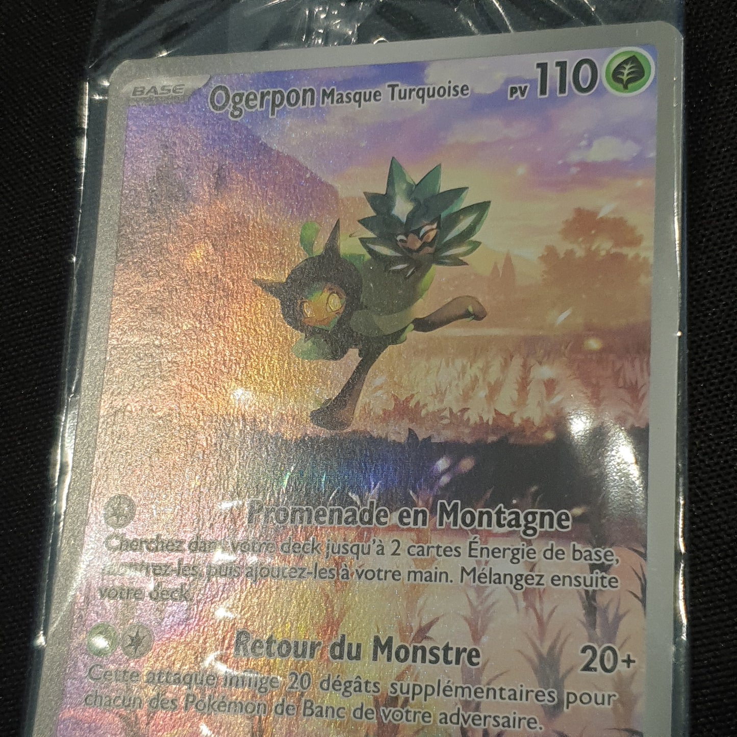 Carte promo scellée Ogerpon masque Turquoise SVP123
