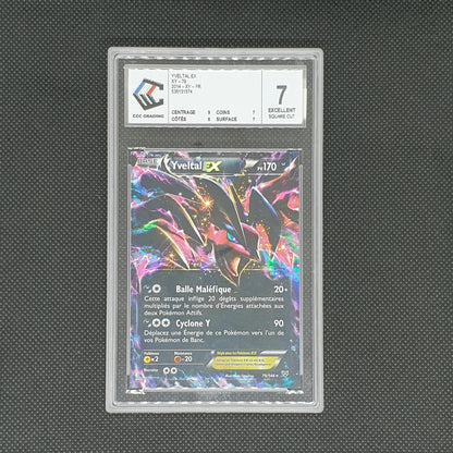 Yvetal Ex XY 2014 SQUARE CUT CCC7