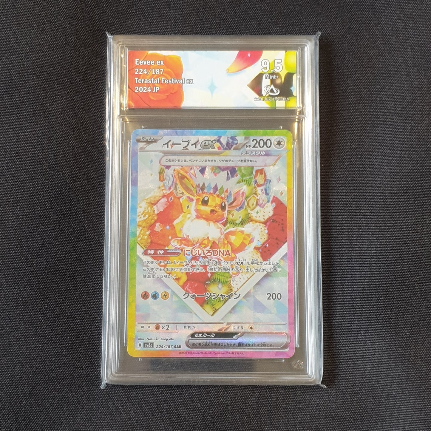 Evoli ALT CA 9,5 Terrastal festival 225 SAR jpn