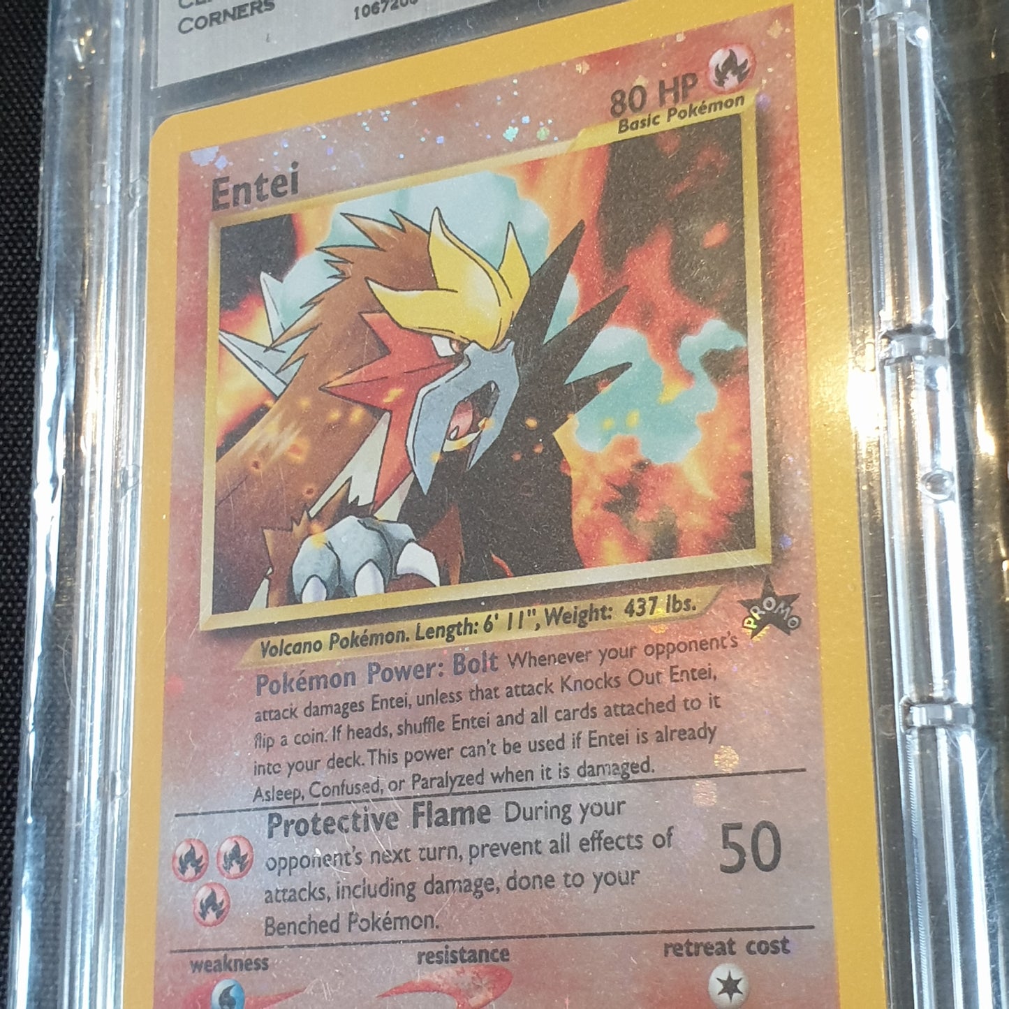 Entei promo wizard EN 34 2001 MTG 9