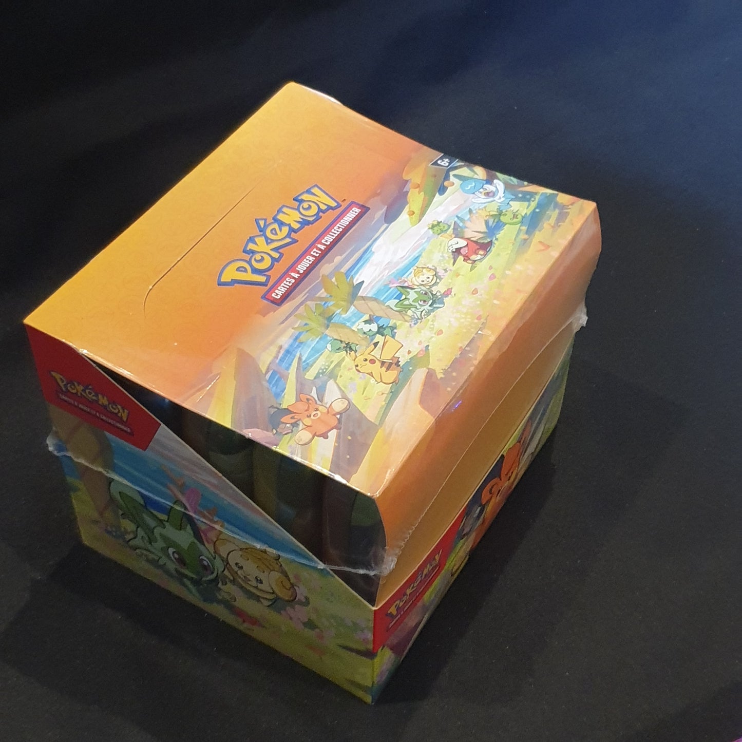 Display Mini Tins Amis de paldea